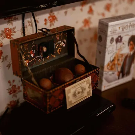 Les Sorciers De Immersion Magique