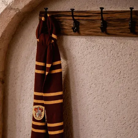 Les Sorciers De Immersion Magique Apartman