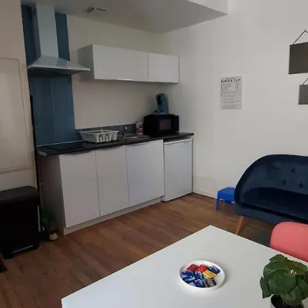 Appartement T1 Bis Proche Gare Et Centre Lourdes